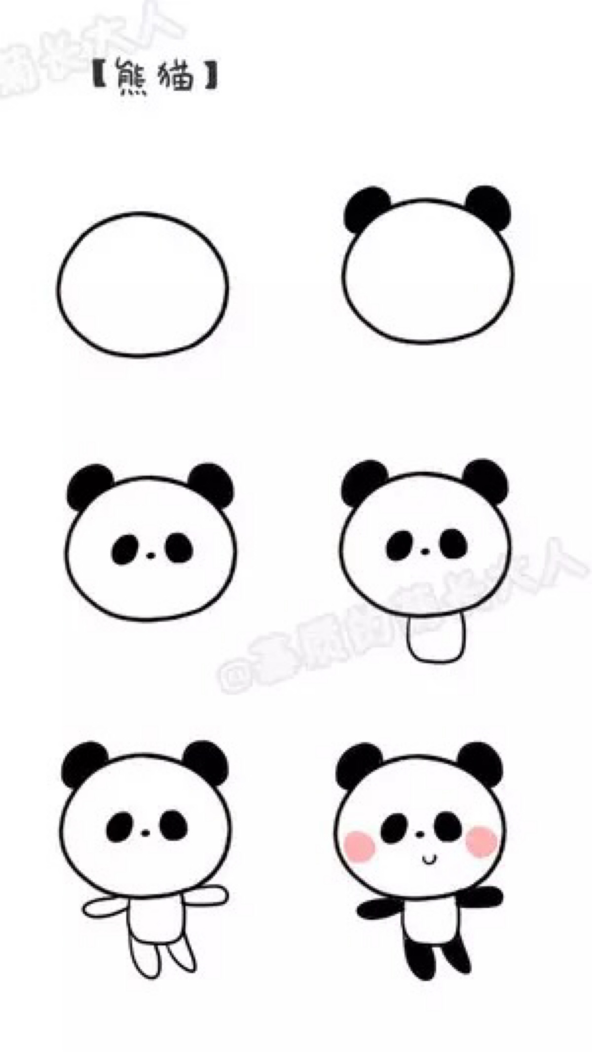 小熊猫画画教程图片