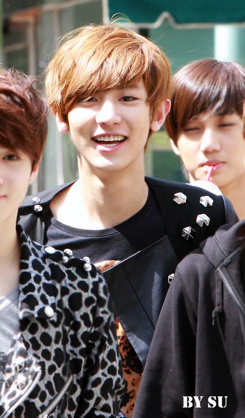 exo##朴灿烈##吴世勋##鹿晗##边伯贤##吴亦凡##张艺兴##金俊绵##金钟