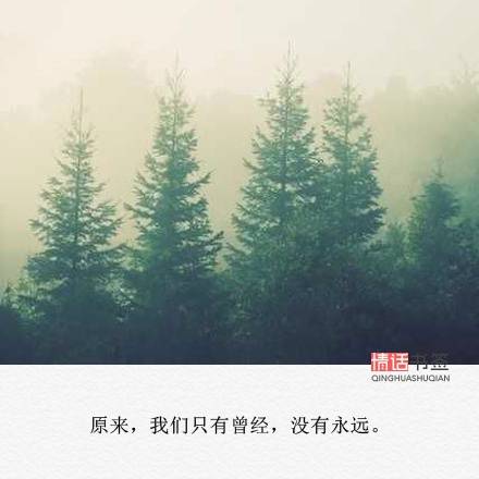 文字控##情话##伤感短句##文字句子图片##治愈##青春#励志##唯美