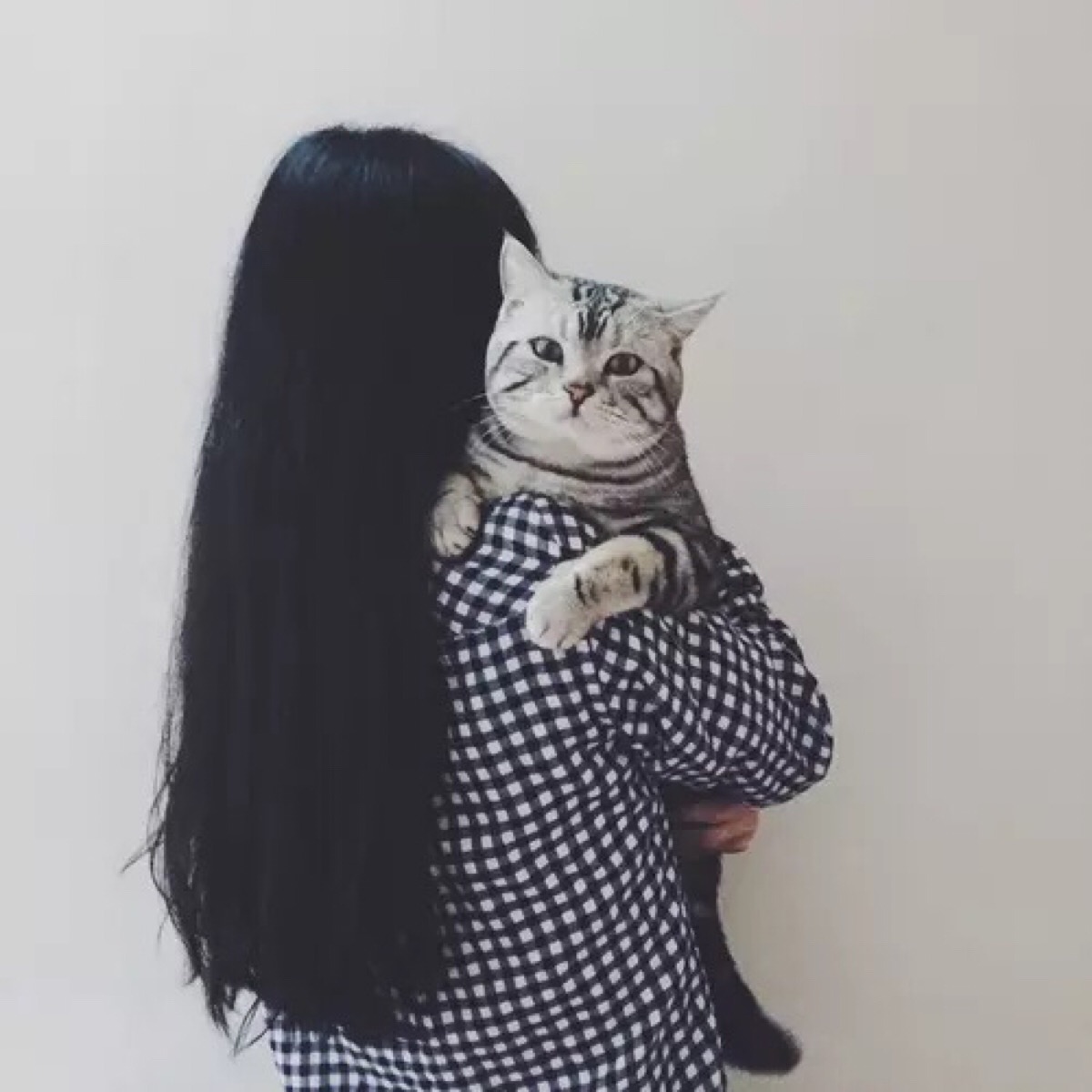 森系女生抱猫头像高清图片