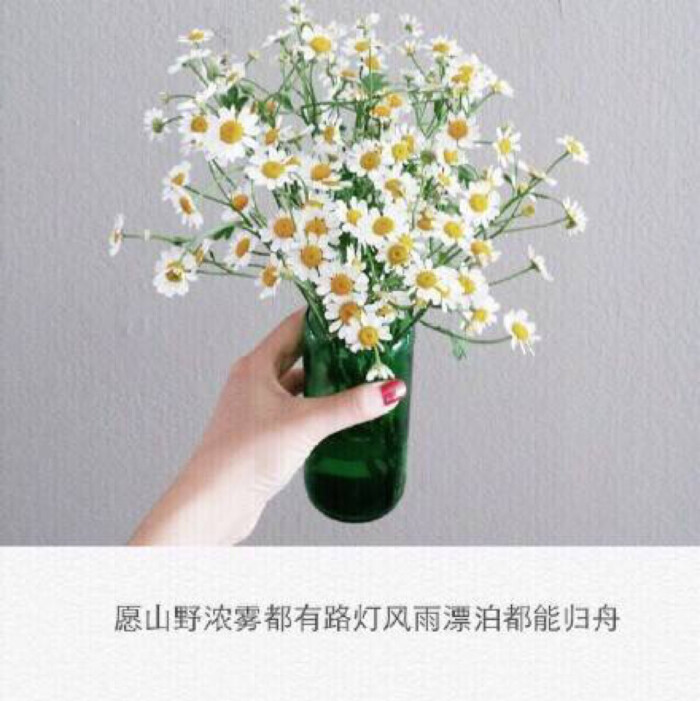 sweet blue 头像 ,文字,电影,小清新 ,女头 ,壁纸,锁屏 ,输入法,素材
