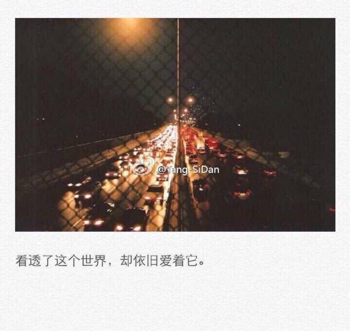 看透了这个世界,却依旧爱着它.