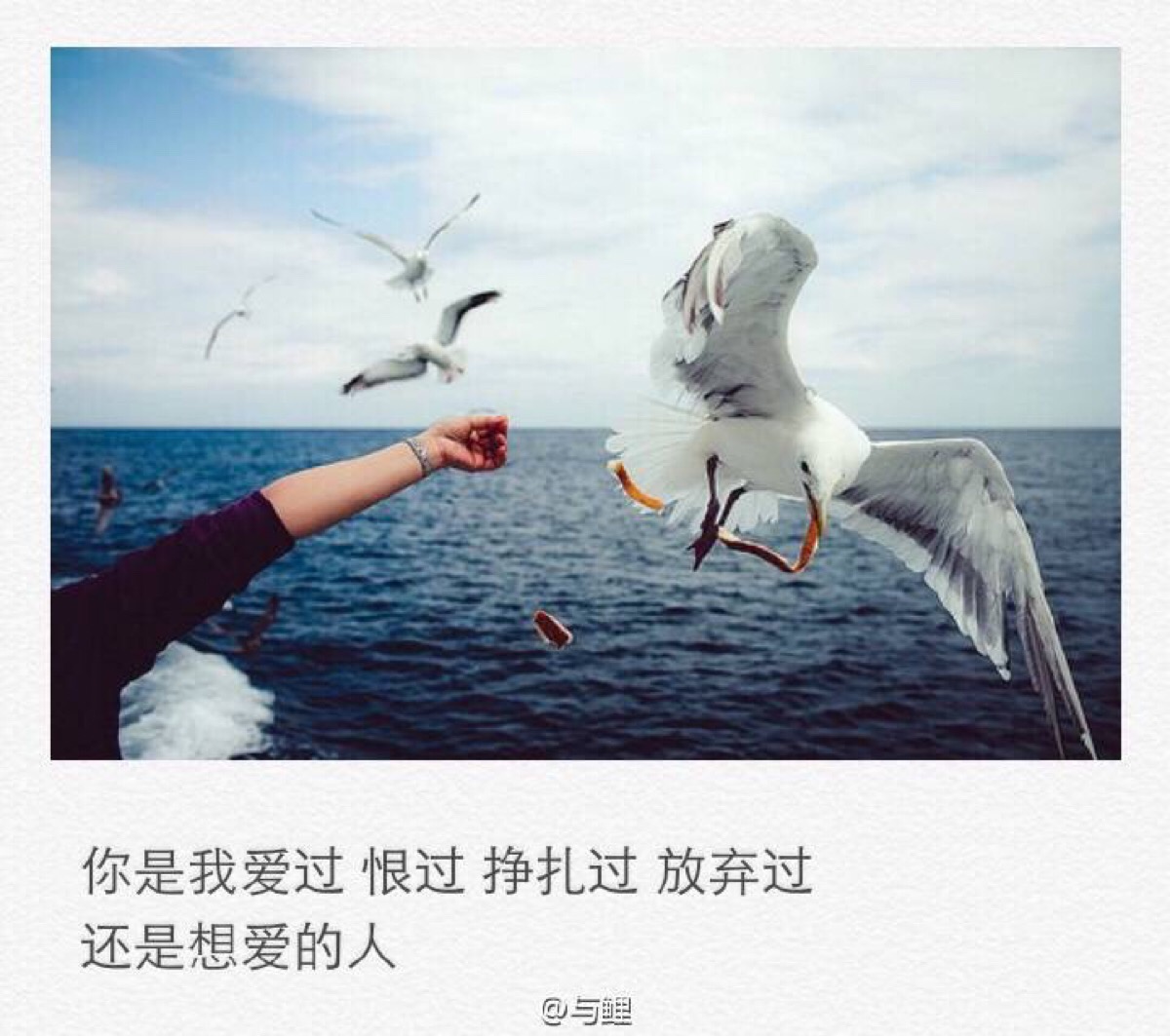 最后还是错过了