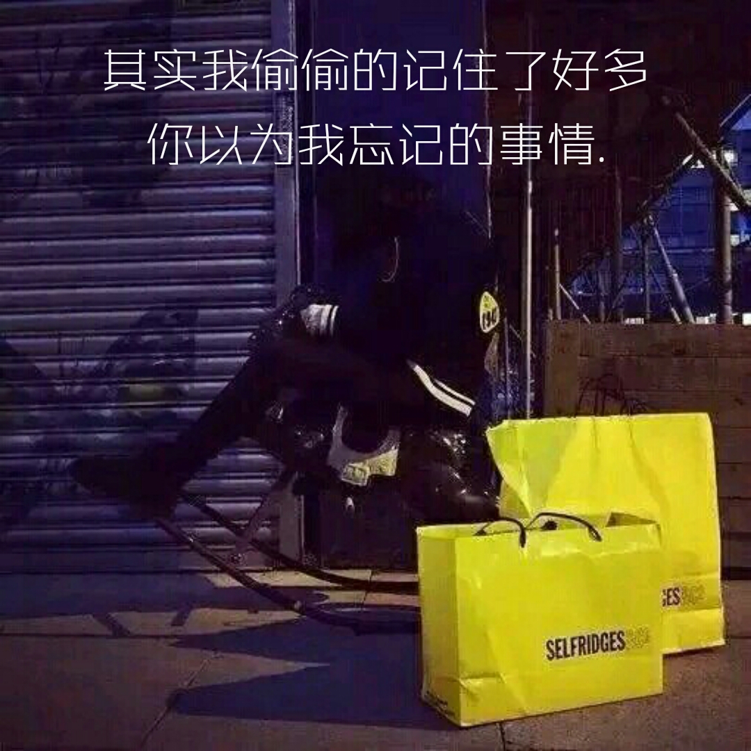 其实我偷偷的记住了好多你以为我忘记的事情.