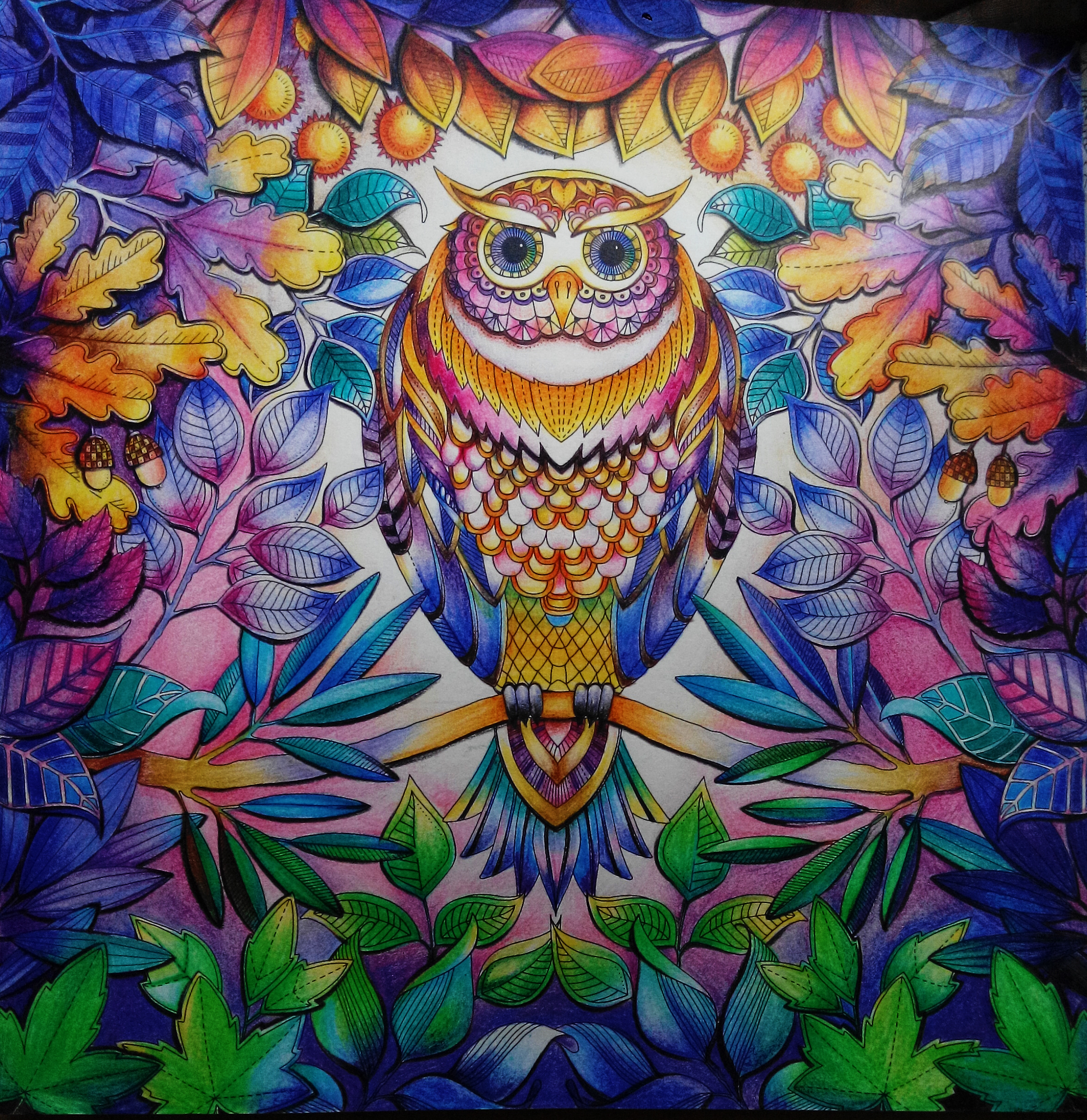 结合了两位大神的配色方案