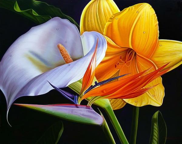 ellery gutierrez超写实的花卉和水果绘画