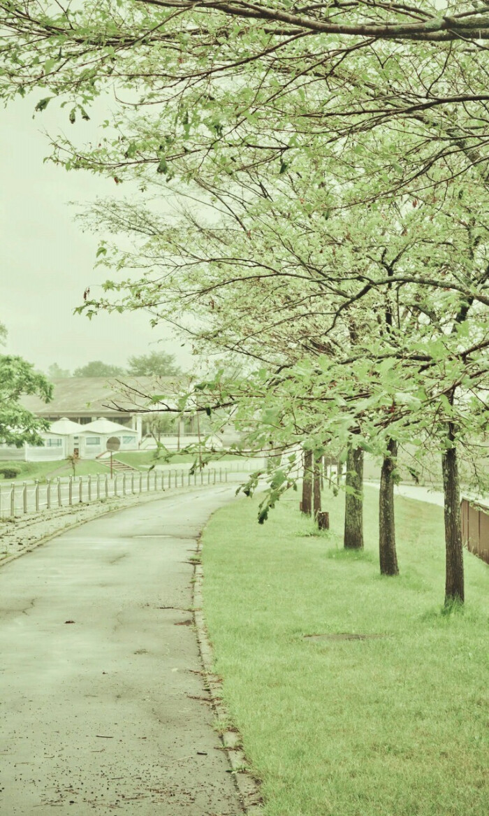 壁纸-堆糖,美好生活研究所