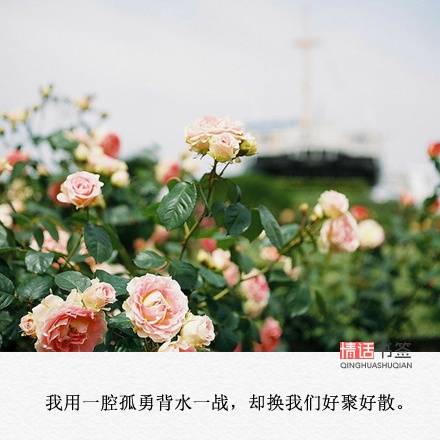 短句##文字句子图片##治愈##青春#励志##唯美##壁纸##头像##by情话