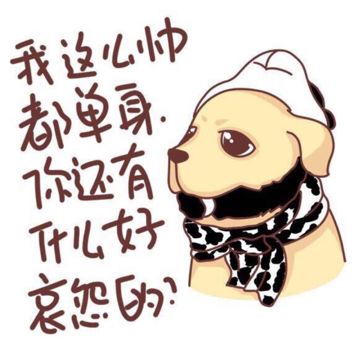 神犬小七(☆_☆)胡可耐 小七专辑