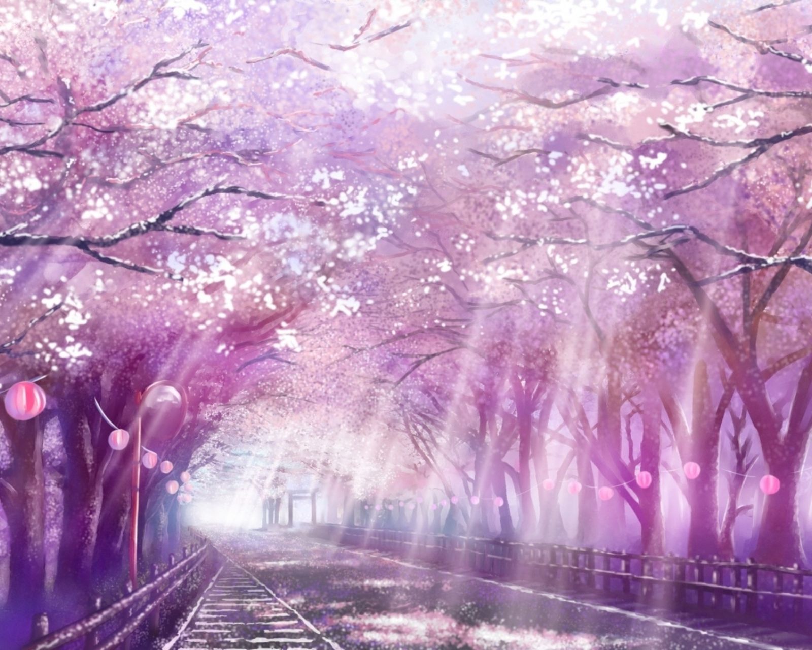樱花树真实图片动漫图片