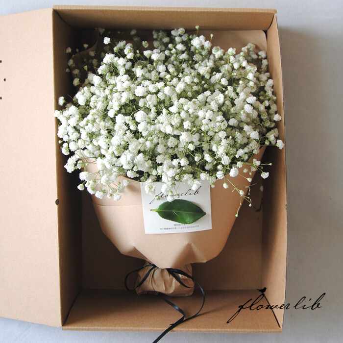 66迷恋66满天星66flowerlib植物图书馆花束白色满天星