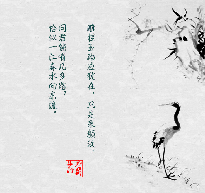 虞美人