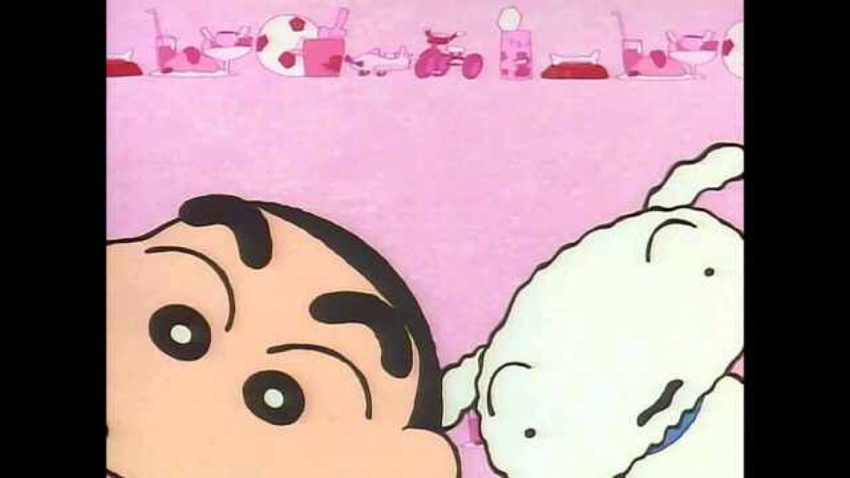小新小白.