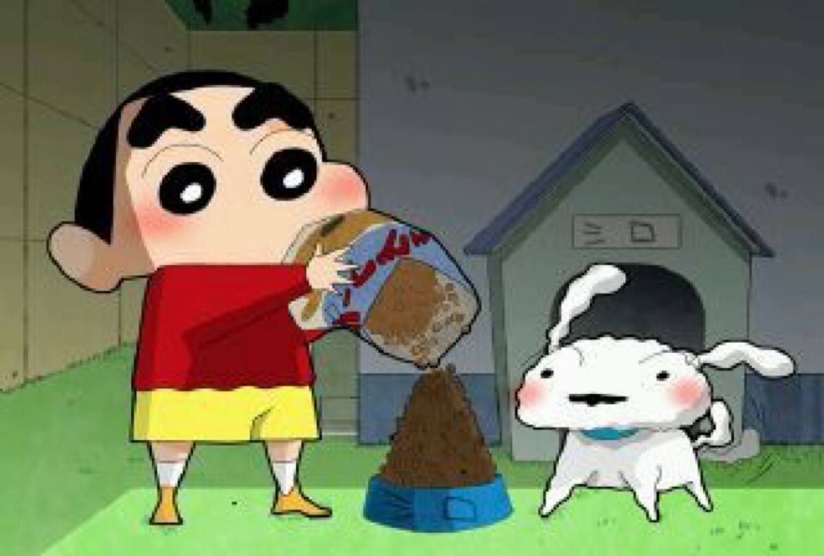 小新小白.