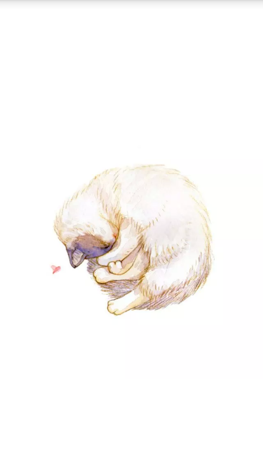 睡觉的猫咪们/壁纸
