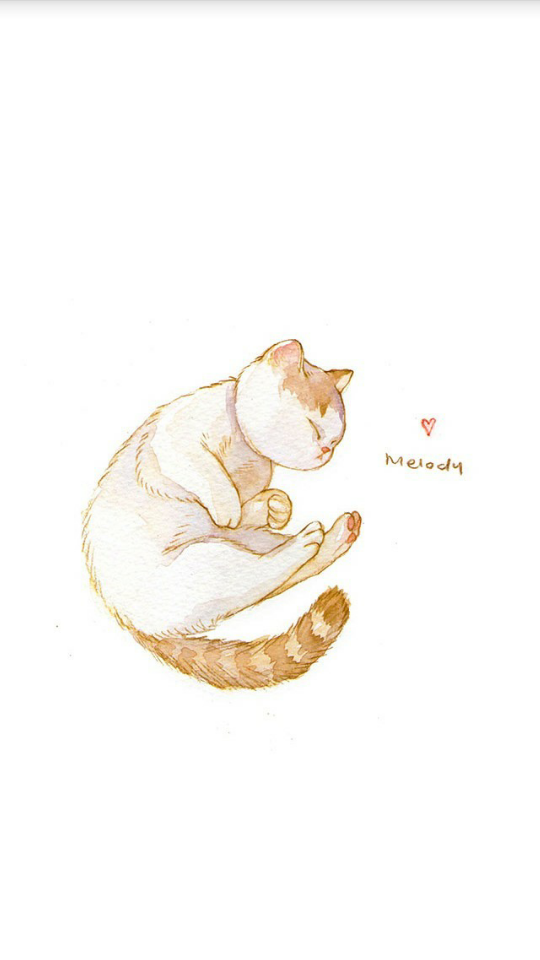 睡觉的猫咪们/壁纸/头像