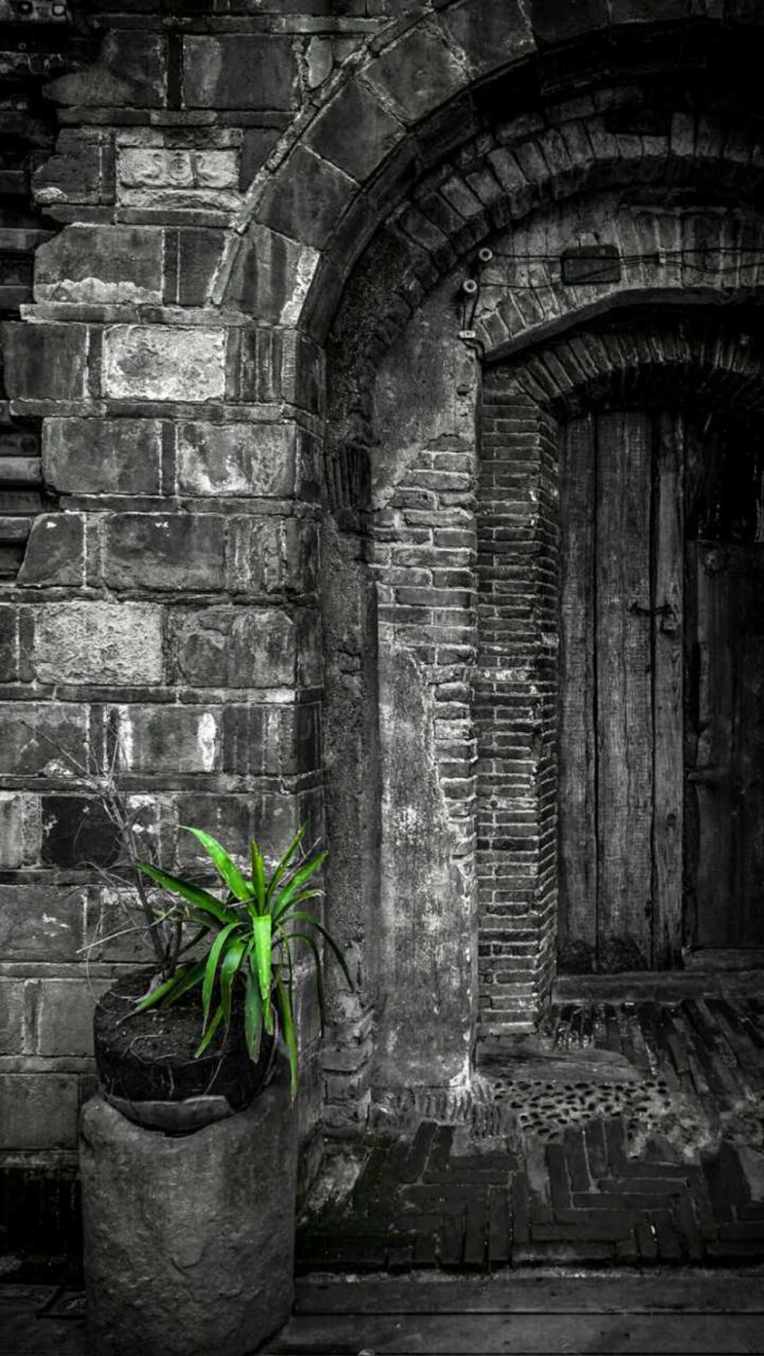 古朴的老门,只有那一抹绿,让人感悟生机