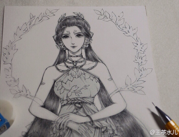作者:王茶水儿