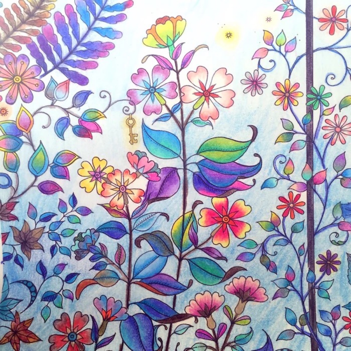 秘密花园简单好看教程