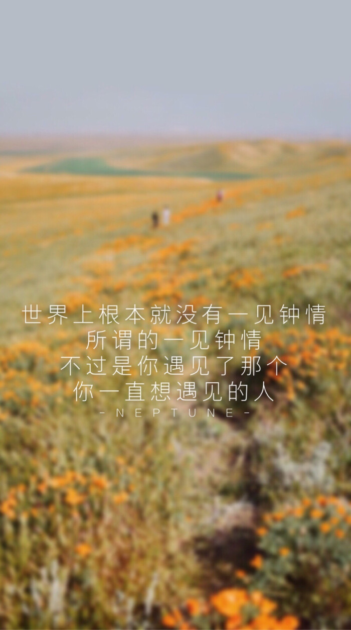 一见钟情的唯美句子图片