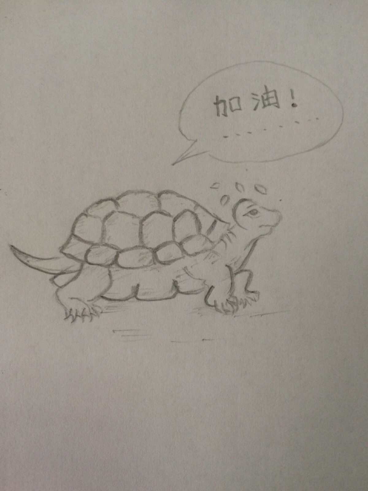 乌龟创意素描图片图片