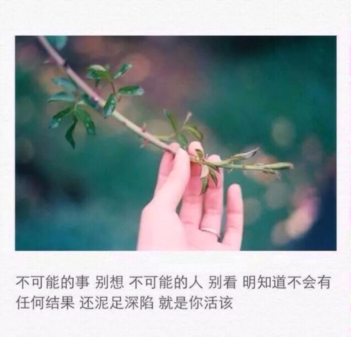 文字 爱情 原创 无水印 励志 情话 友情 书签 文艺 手写心情 壁纸