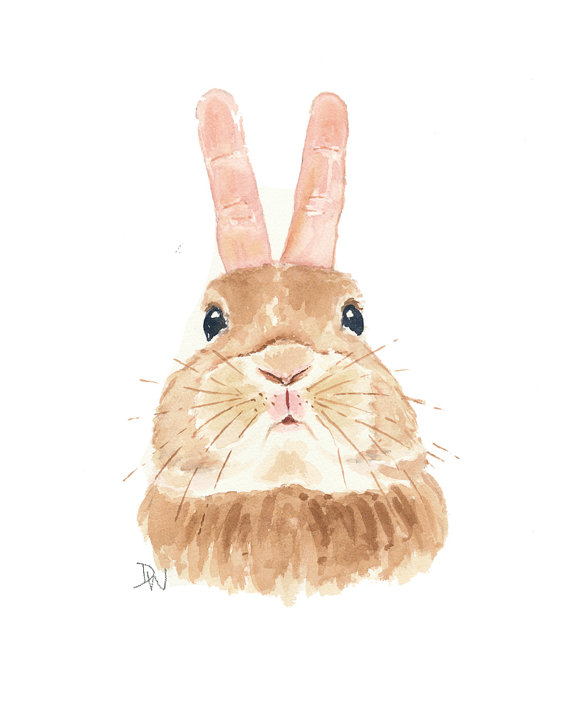 彩绘兔子