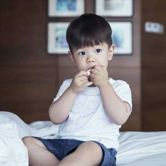 嗯哼大王,小吃货