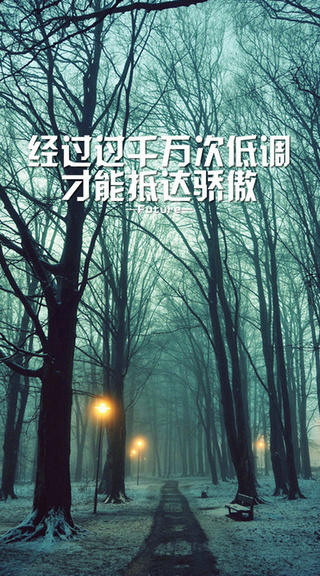 她是有多漂亮让你舍得伤我到遍体鳞伤.#文字心情#壁纸#锁屏
