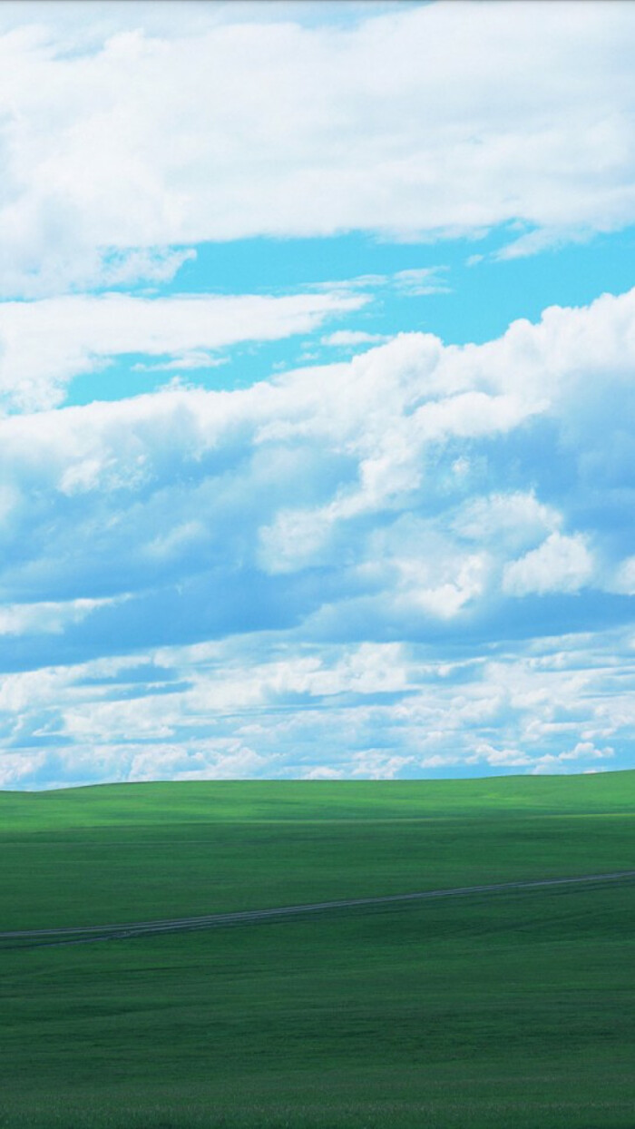 天空 草原