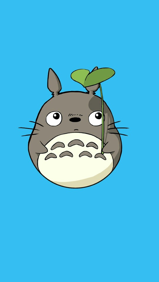 大龙猫 