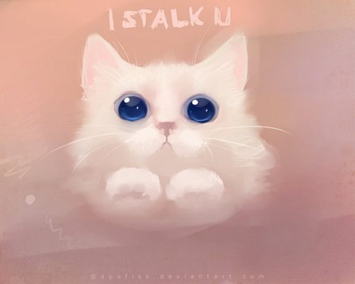 萌萌的猫咪