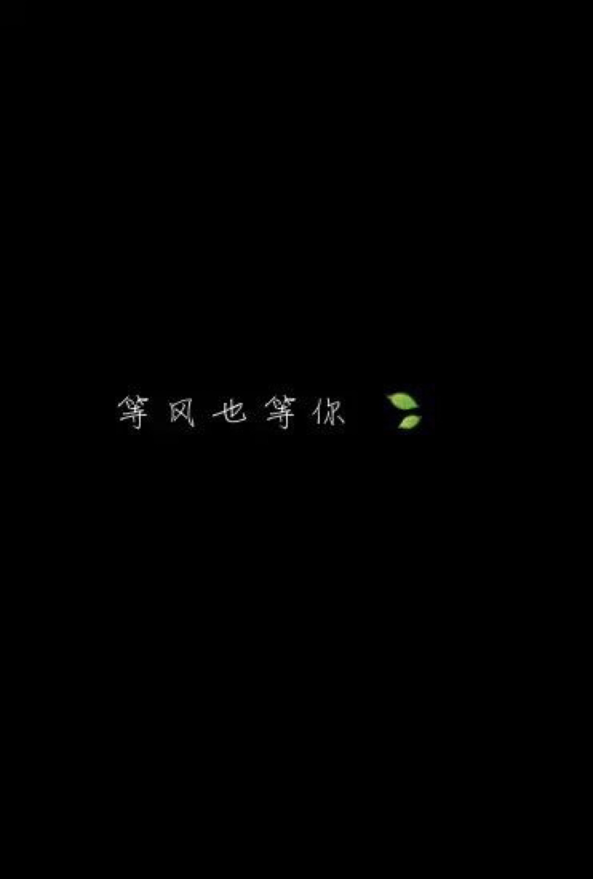 壁纸更更换 黑底白字 系列之等风也等你