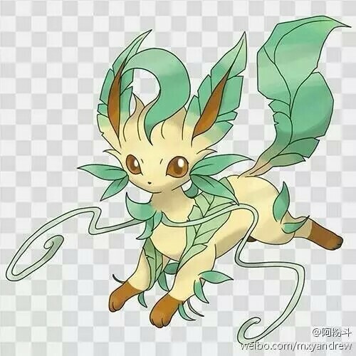 mega进化,草精灵