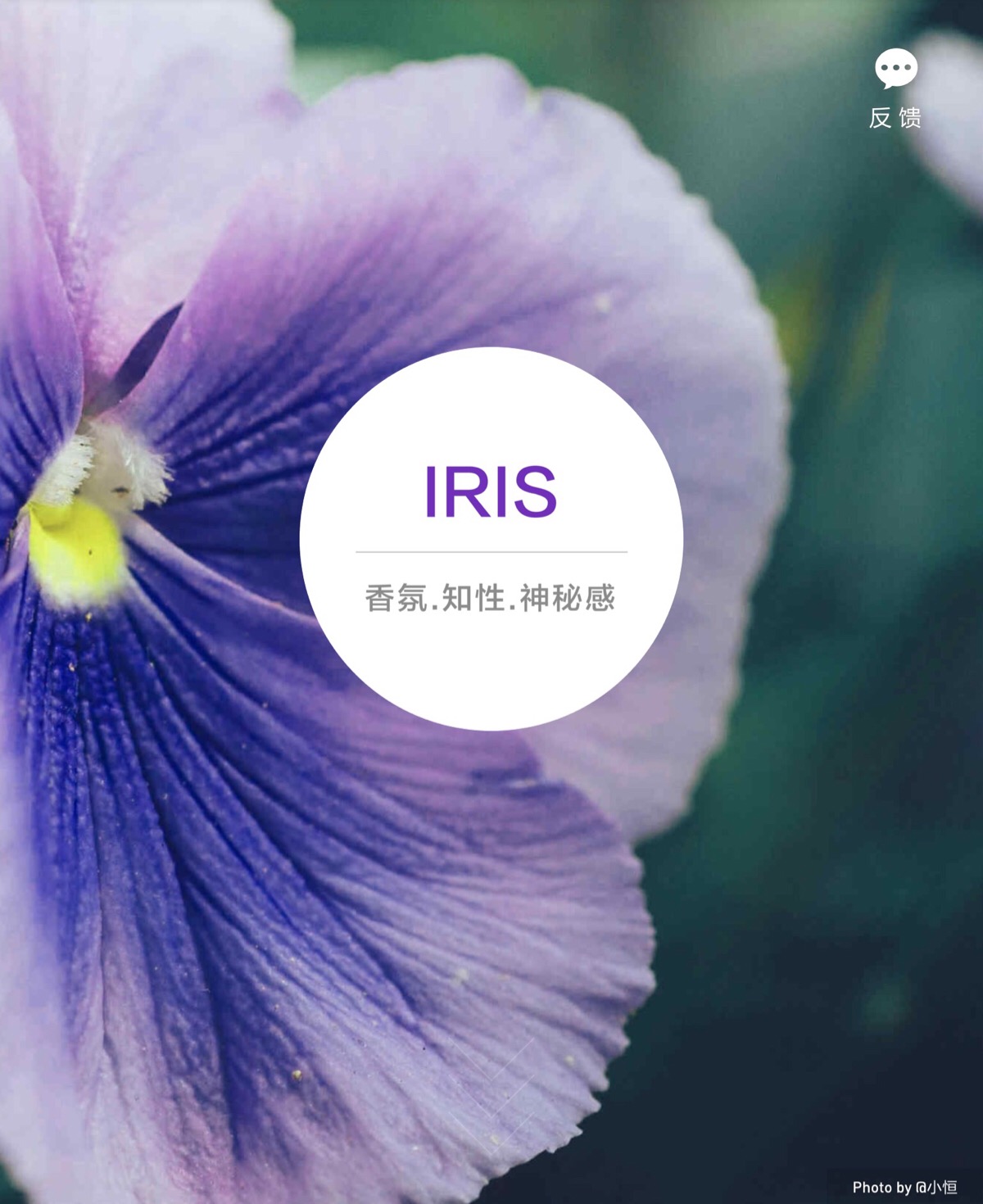 iris是谁图片