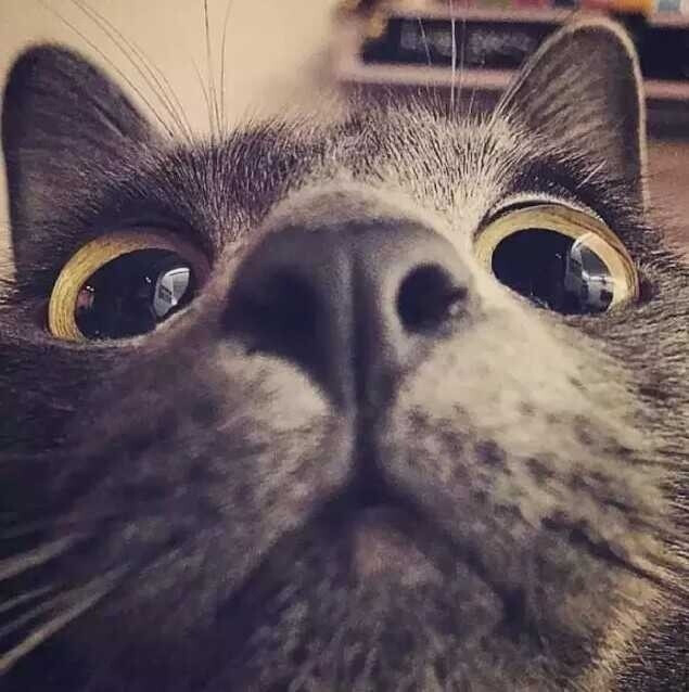 看我看我!