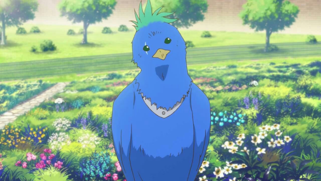 截,另外好喜欢这样纯纯的爱恋,期待第二季的徐小喵 - 《赤发白雪姬》