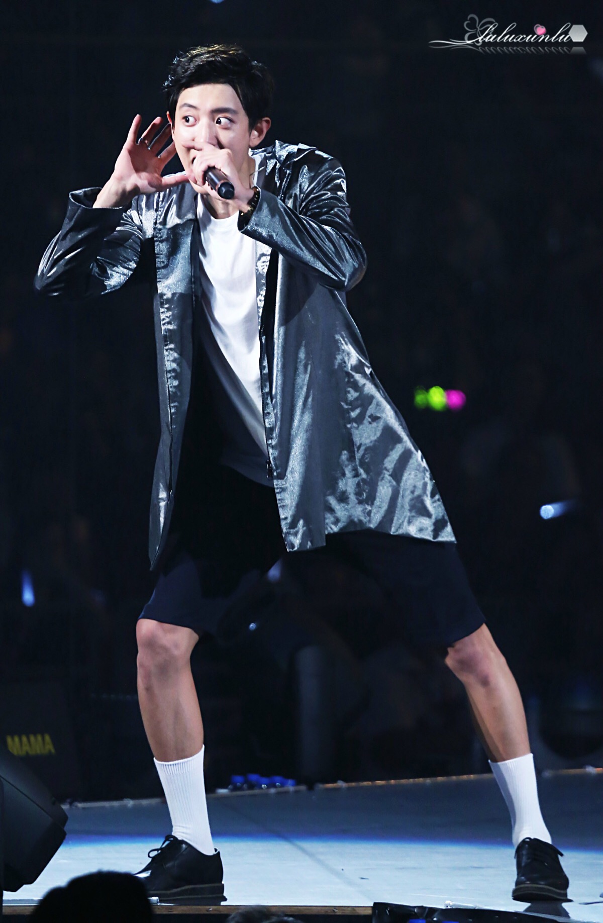 二巡演唱会广州站 朴灿烈