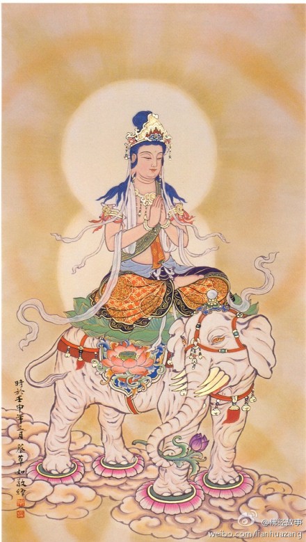 与骑乘狮子的文殊菩萨,同为毗卢遮那佛之胁士,合称为"华严三圣".