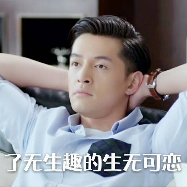 胡歌表情包 大好时光