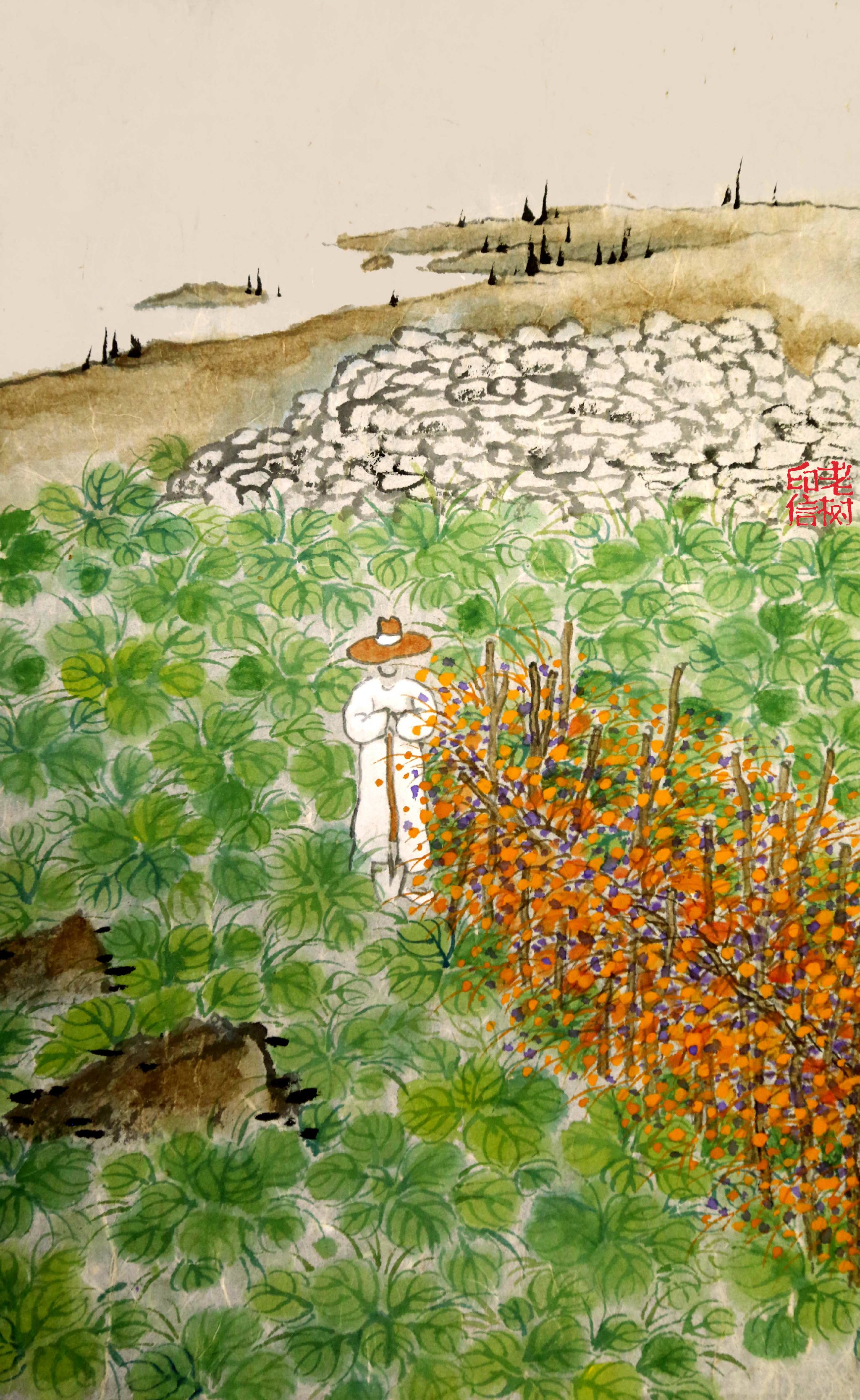 「 老树画画 」.风中牵牛花开,下地去捆白菜.世间哪有自由?