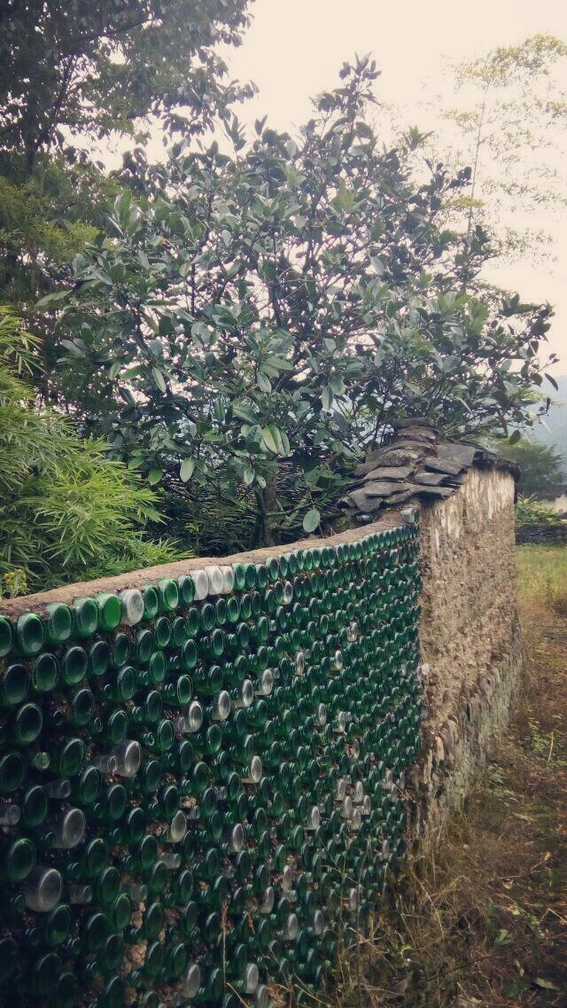 啤酒瓶花园围栏图片