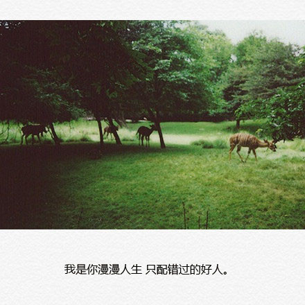 我是你漫漫人生只配错过的好人