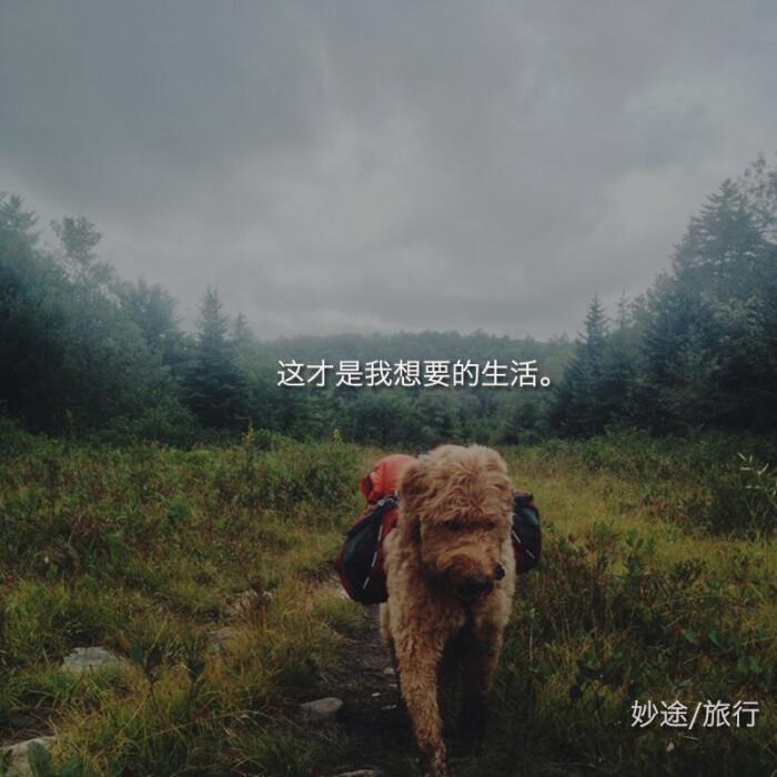 这才是我想要的生活—妙途旅行