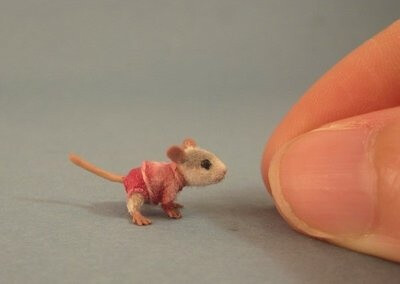 小老鼠