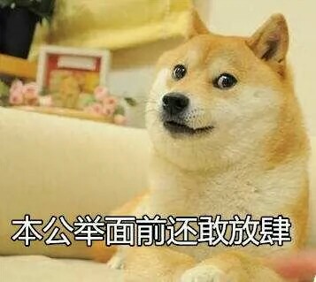 柴犬表情