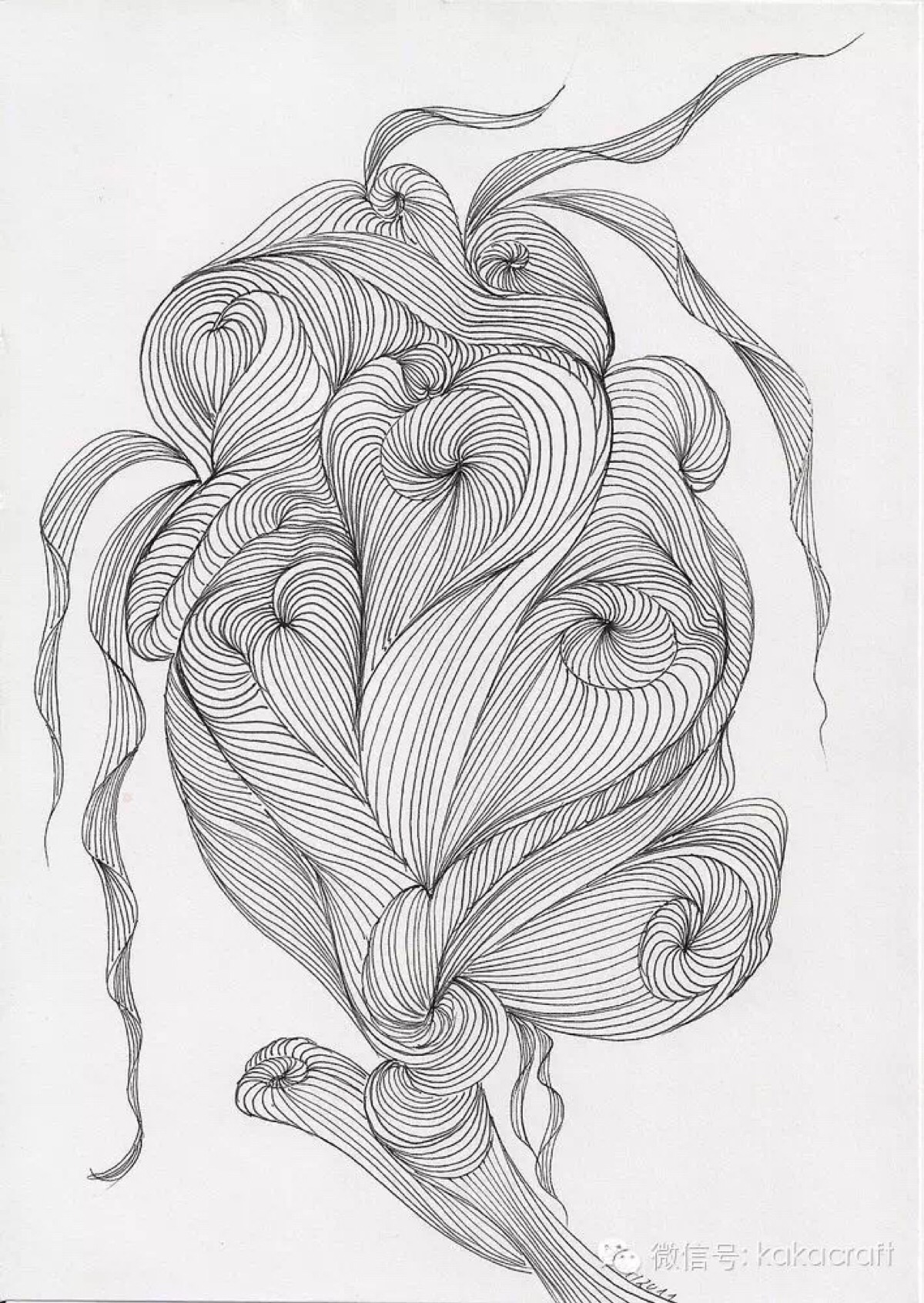 禅绕画爱好者的作品 自用