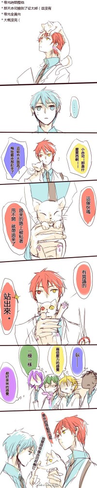 黑子的篮球# 赤司黑子 小赤司的猫 这只喵和赤司一毛一样的说!