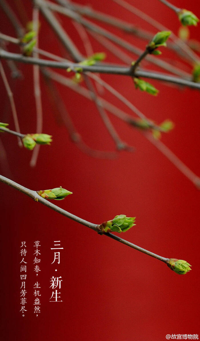 三月·新生 故宫【紫禁城】 壁纸/美图/风景/高清
