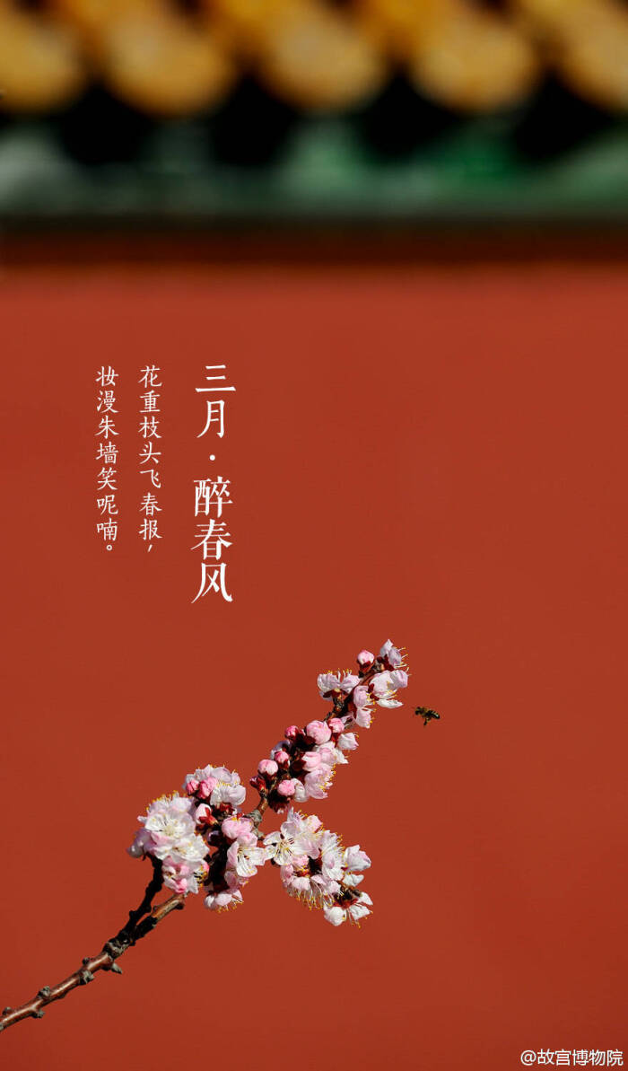 三月·醉春风 故宫【紫禁城】壁纸/美图/风景/高清